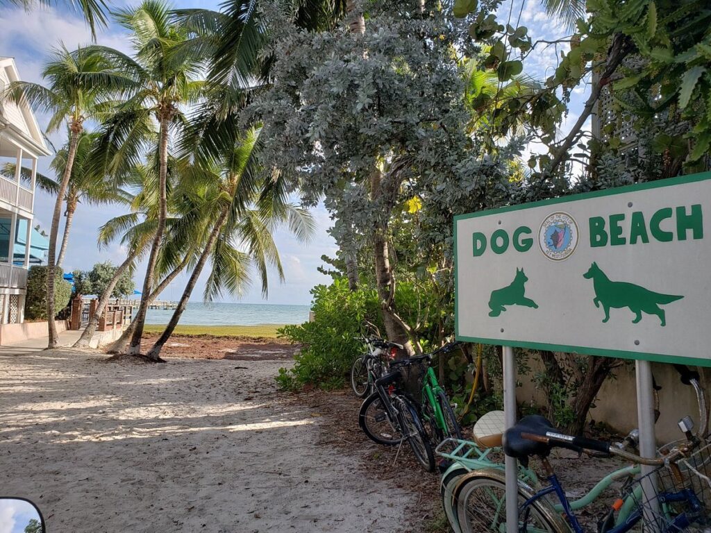 dog beach key west florida